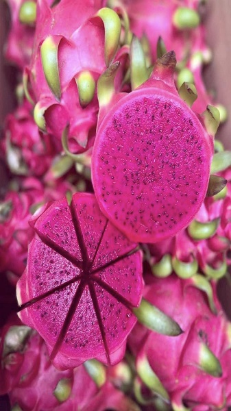 Dragon Fruit Onefresh