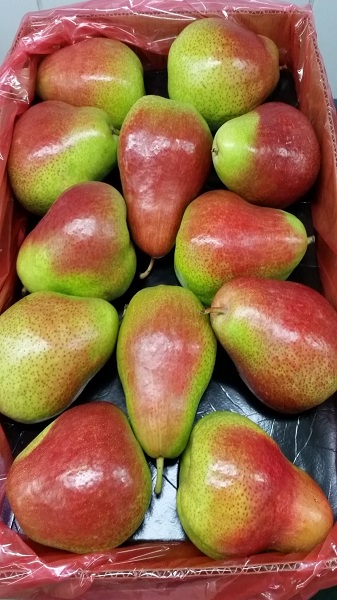 Onefresh peach 4
