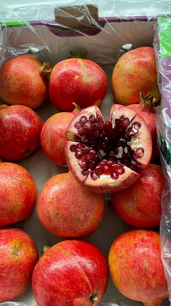 Pomegranate Onefresh