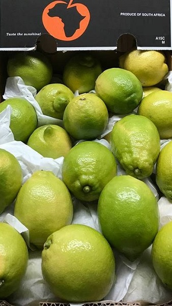 lemon 4 onefresh