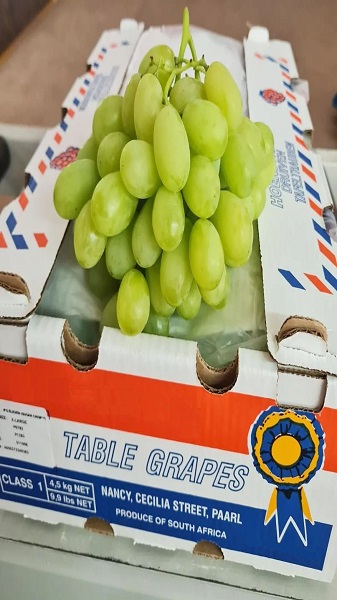 onefresh tablegrapes