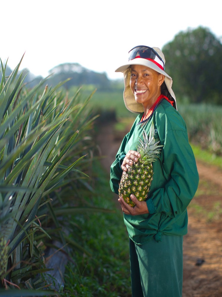 Onefresh pineapple 10